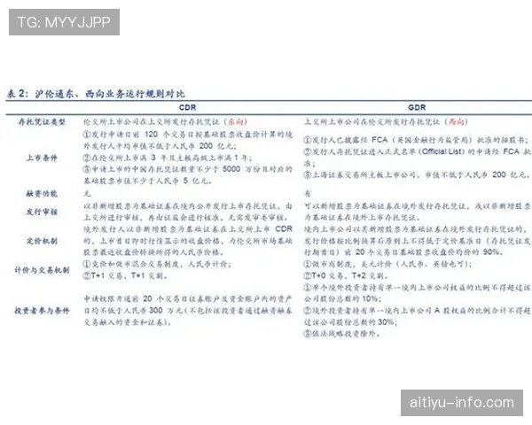 B费在葡萄牙队的真实价值：战术适配性与关键战表现深度解析